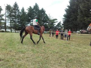 Uspešni nastopi središkega konjeniškega društva na tekmovanjih 2